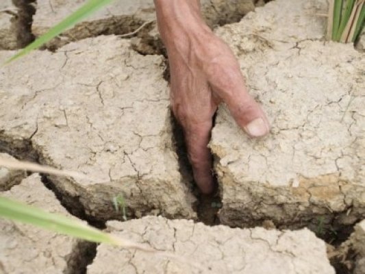 Seceta pedologică se va menţine în regiunile agricole din sudul ţării